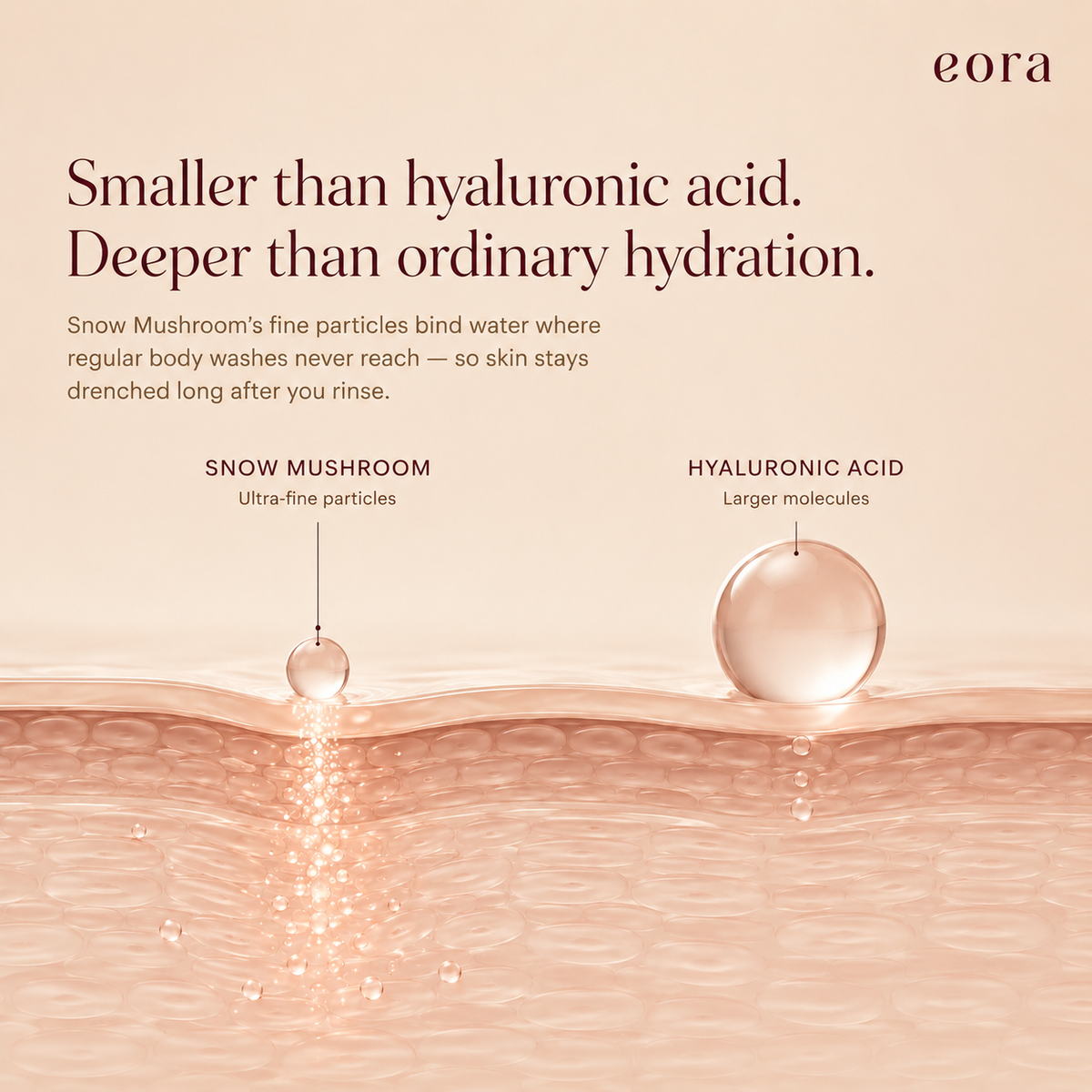 How Snow Mushroom particles absorb deeper into skin than hyaluronic acid