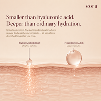 How Snow Mushroom particles absorb deeper into skin than hyaluronic acid
